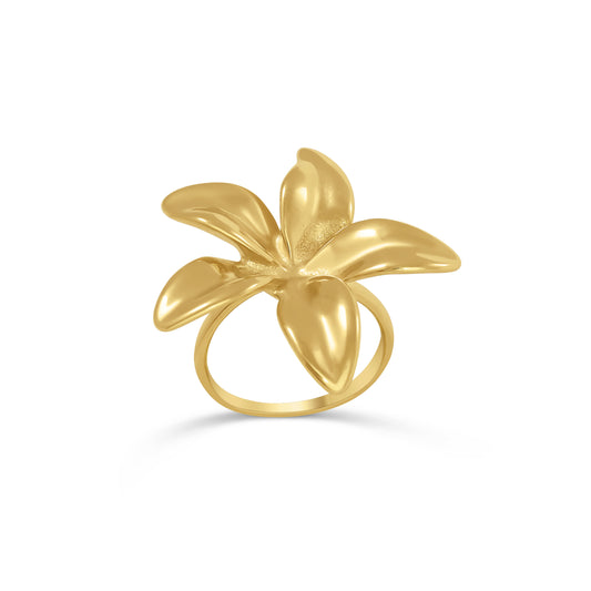 BAGUE TAHITI