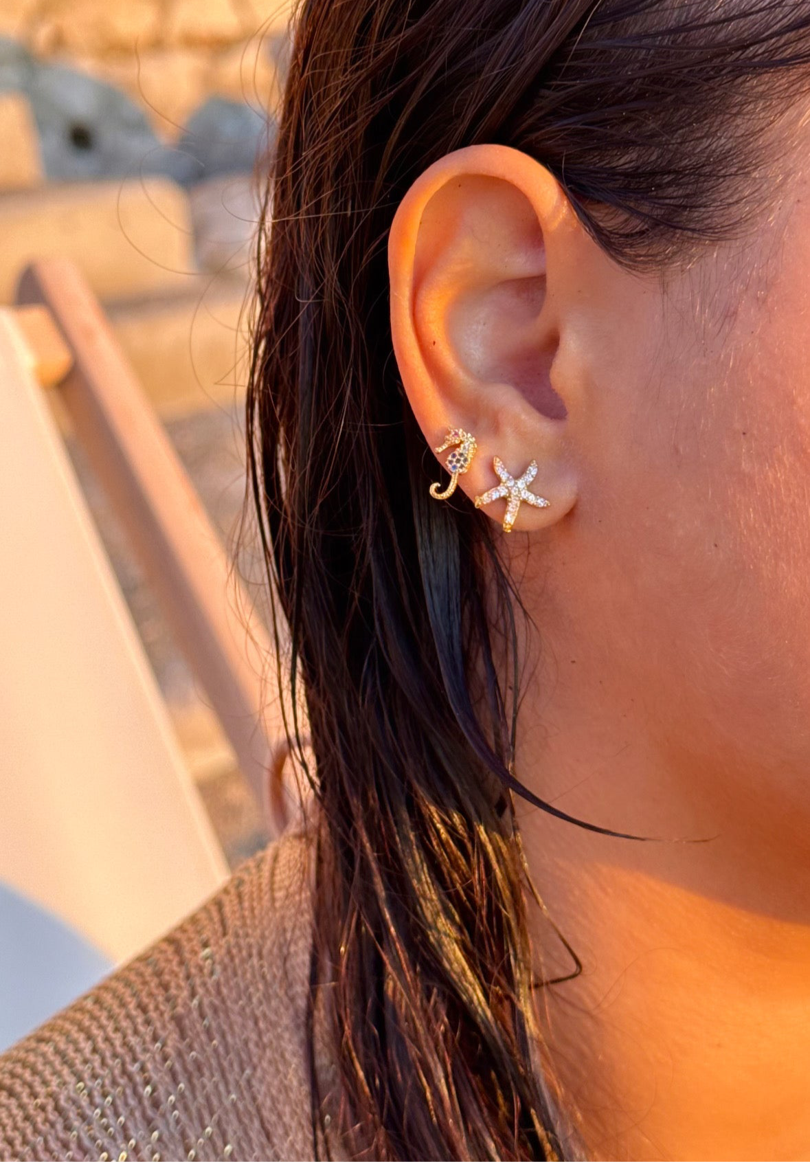 PIERCING HIPPOCAMPE