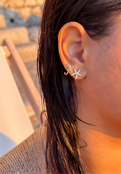 PIERCING HIPPOCAMPE